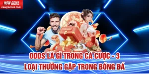 Odds Là Gì Trong Cá Cược - 3 Loại Thường Gặp Trong Bóng Đá